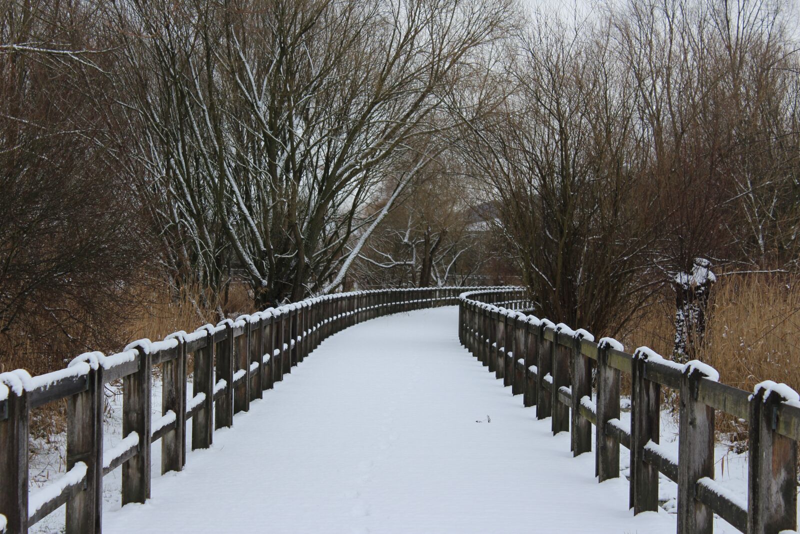Canon EOS 1200D (EOS Rebel T5 / EOS Kiss X70 / EOS Hi) sample photo. Winter, wood, snow photography