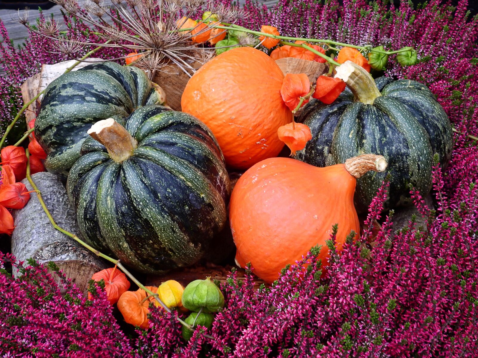 Nikon Coolpix P900 sample photo. Pumpkin, flowers, deco photography