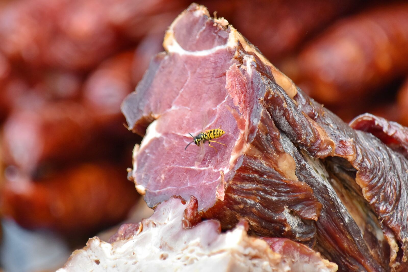 Nikon D5500 sample photo. Beacon, ham, insect, meat photography