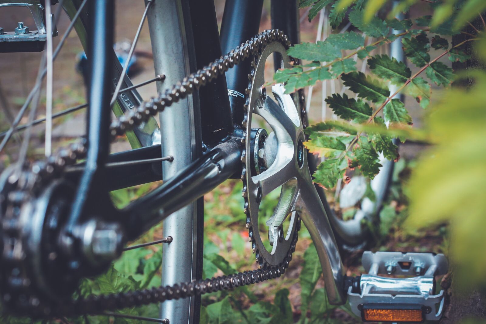 Canon EOS 650D (EOS Rebel T4i / EOS Kiss X6i) + Canon EF 50mm F1.8 II sample photo. Bicycle, bike, chain photography