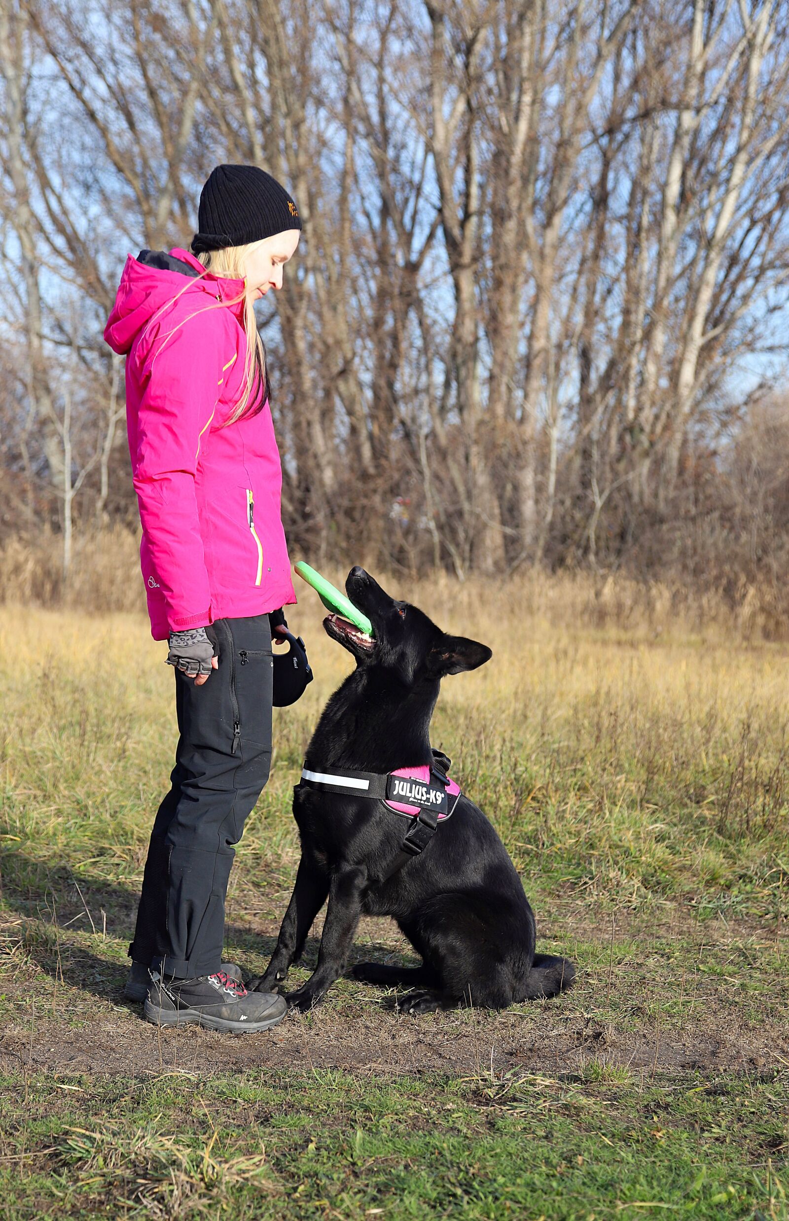 Canon EOS 6D Mark II sample photo. Black german shepherd, dog photography