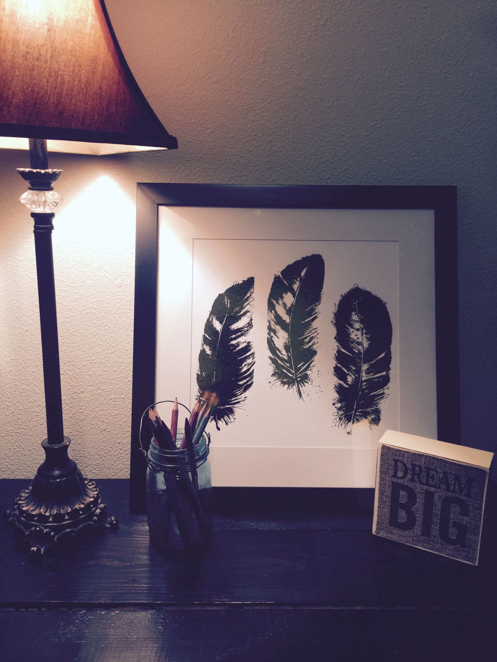 iPhone 6 Plus back camera 4.15mm f/2.2 sample photo. Black, feathers, painting, beside photography
