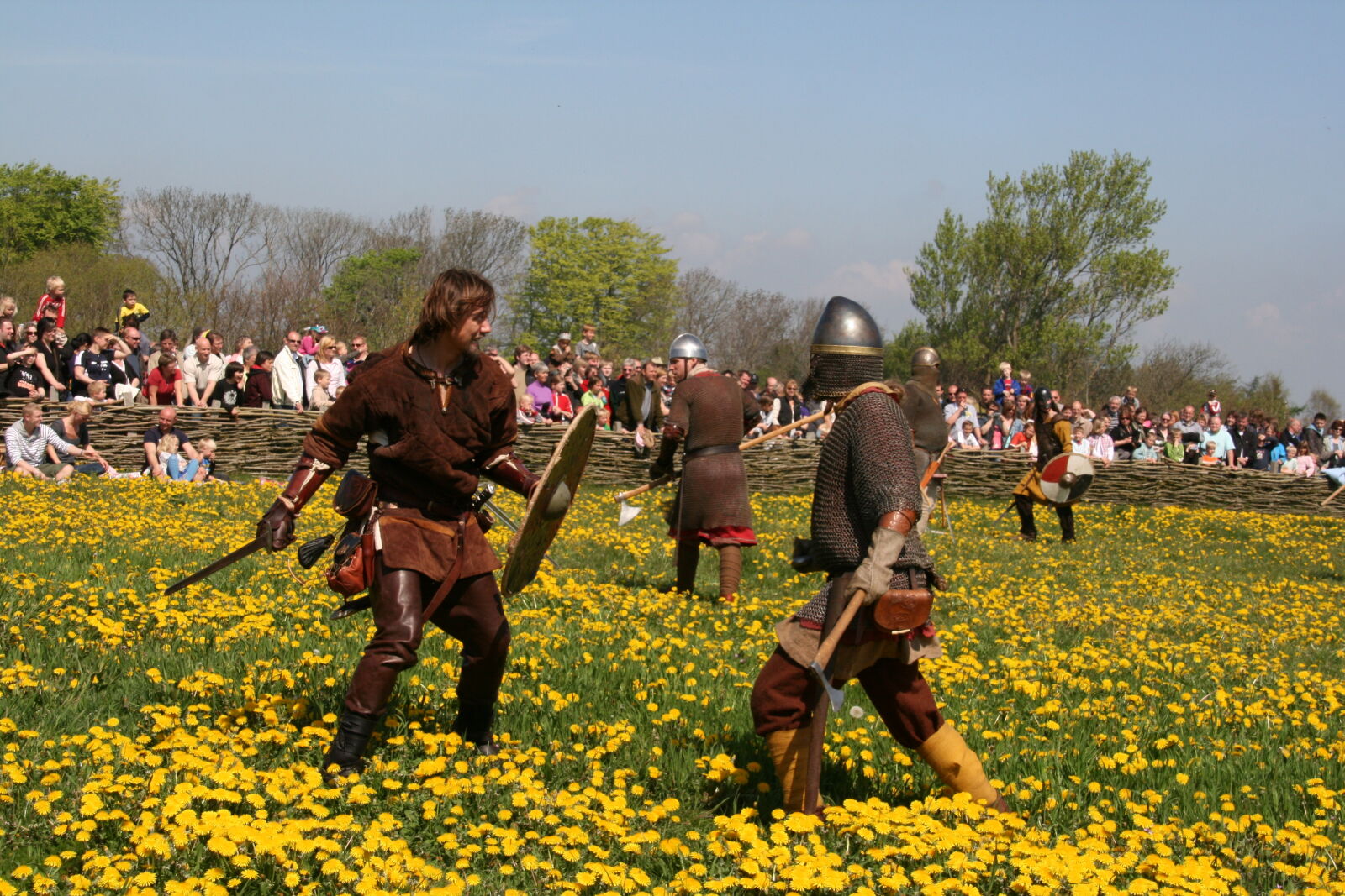 Sigma 18-200mm f/3.5-6.3 DC OS sample photo. Vikings photography