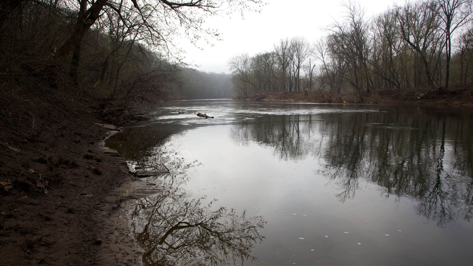 Canon EOS 5D Mark II sample photo. Spring, woods, river, cannal photography