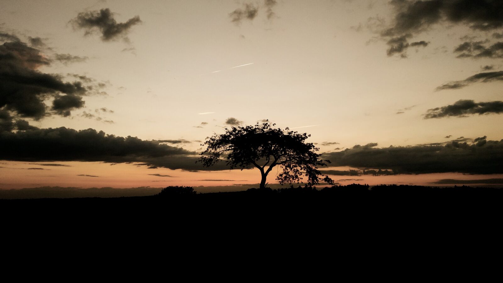 LG K10 sample photo. Mood, tree, sunset photography