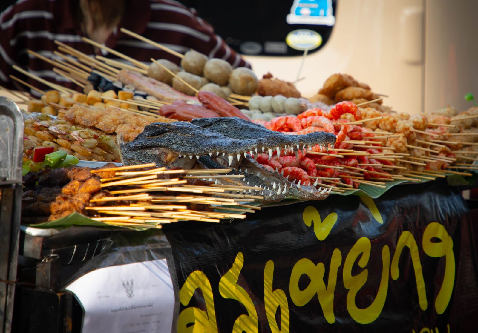 Canon EF 24-105mm F4L IS II USM sample photo. Food, alligator, tropical photography