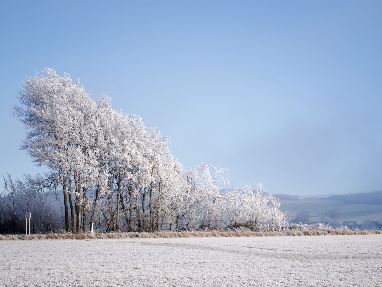 Panasonic DMC-G70 sample photo. Winter, landscape, snow photography