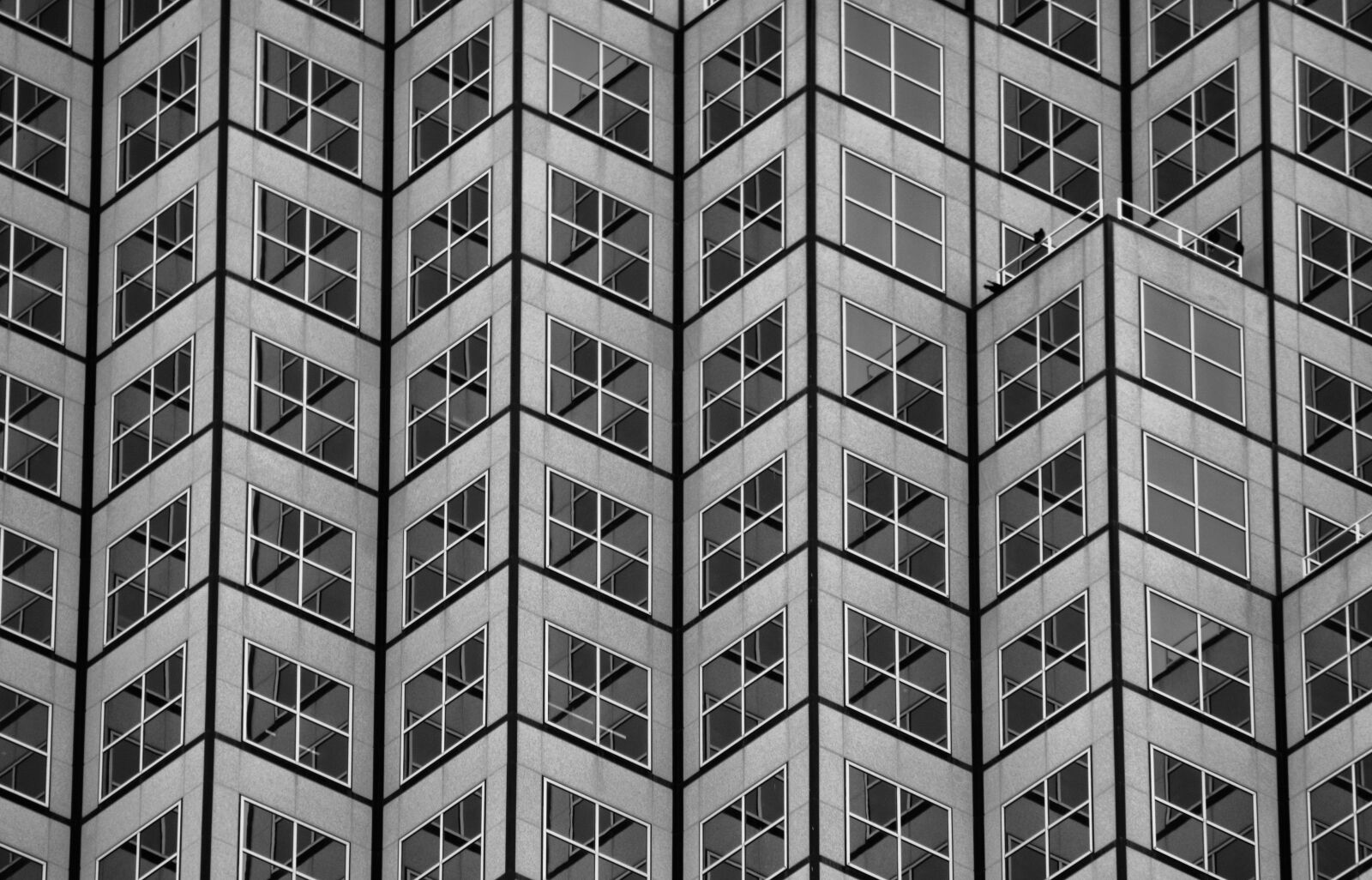 Nikon D7100 sample photo. Florida, window, hochaus photography