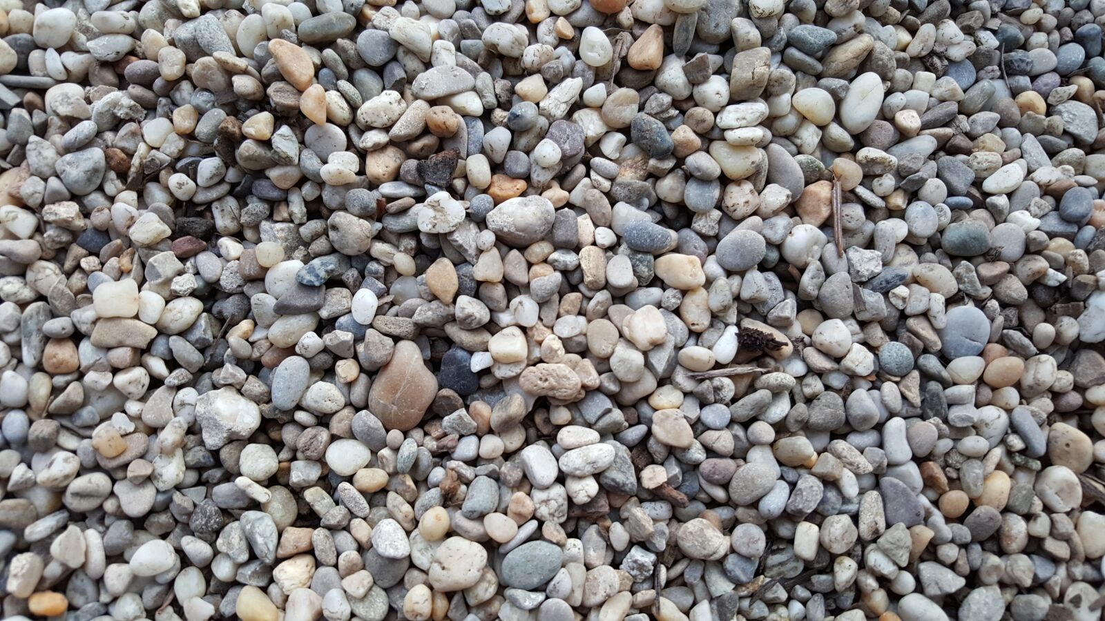 Samsung Galaxy S6 sample photo
