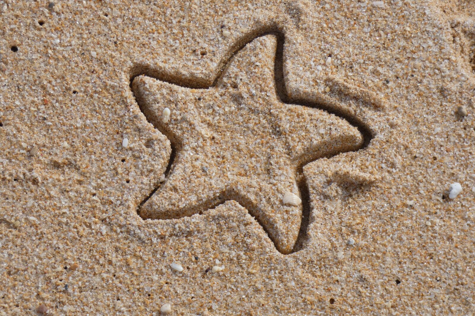Panasonic Lumix DC-FZ80 (Lumix DC-FZ82) sample photo. Starfish, star shape, beach photography