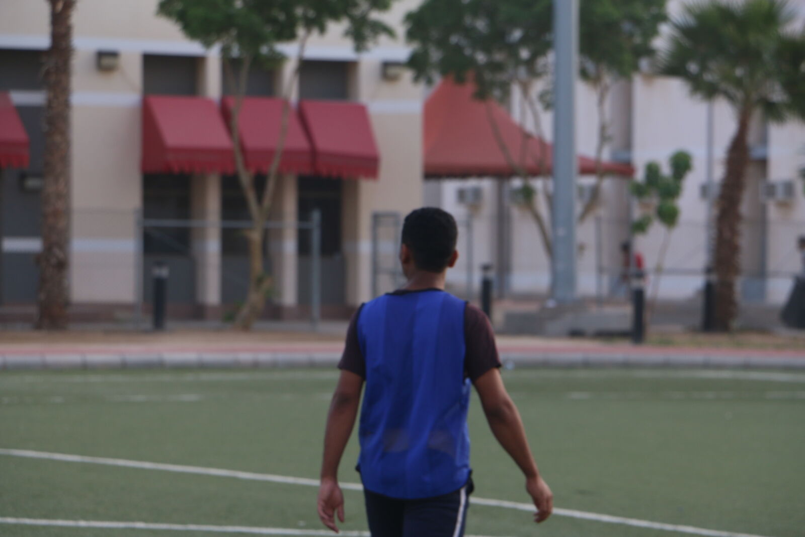 Canon EOS 70D sample photo