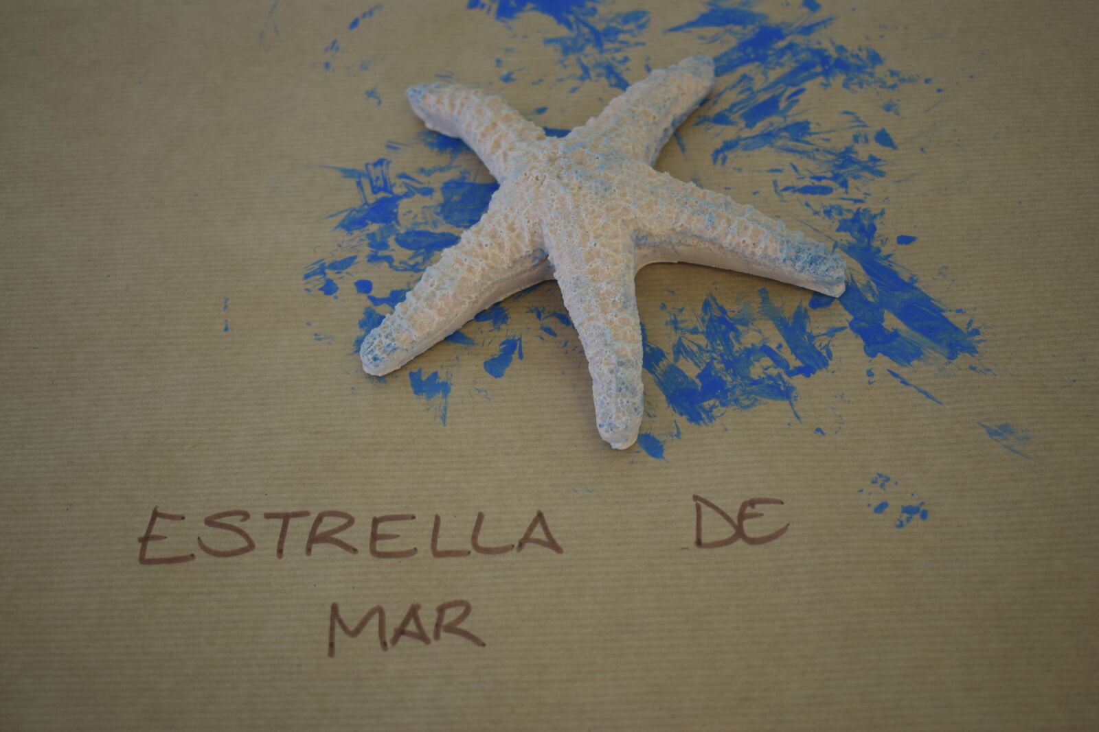 Nikon D3300 sample photo. Sea star, crafts, sea photography