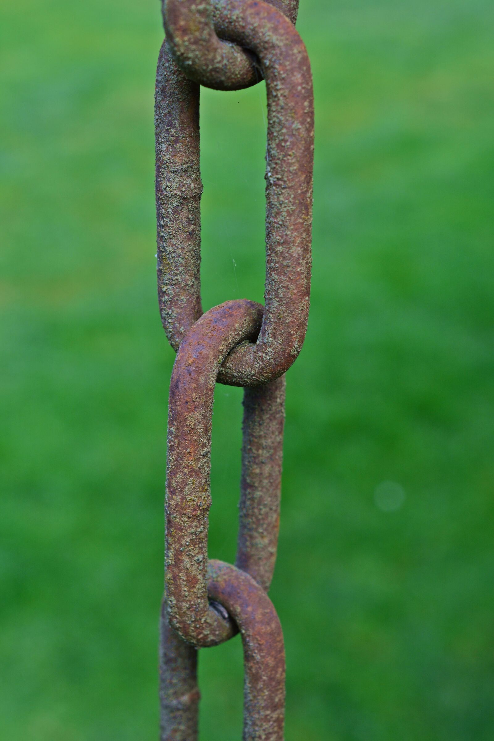 Nikon D5200 sample photo. Rust, chain, iron photography