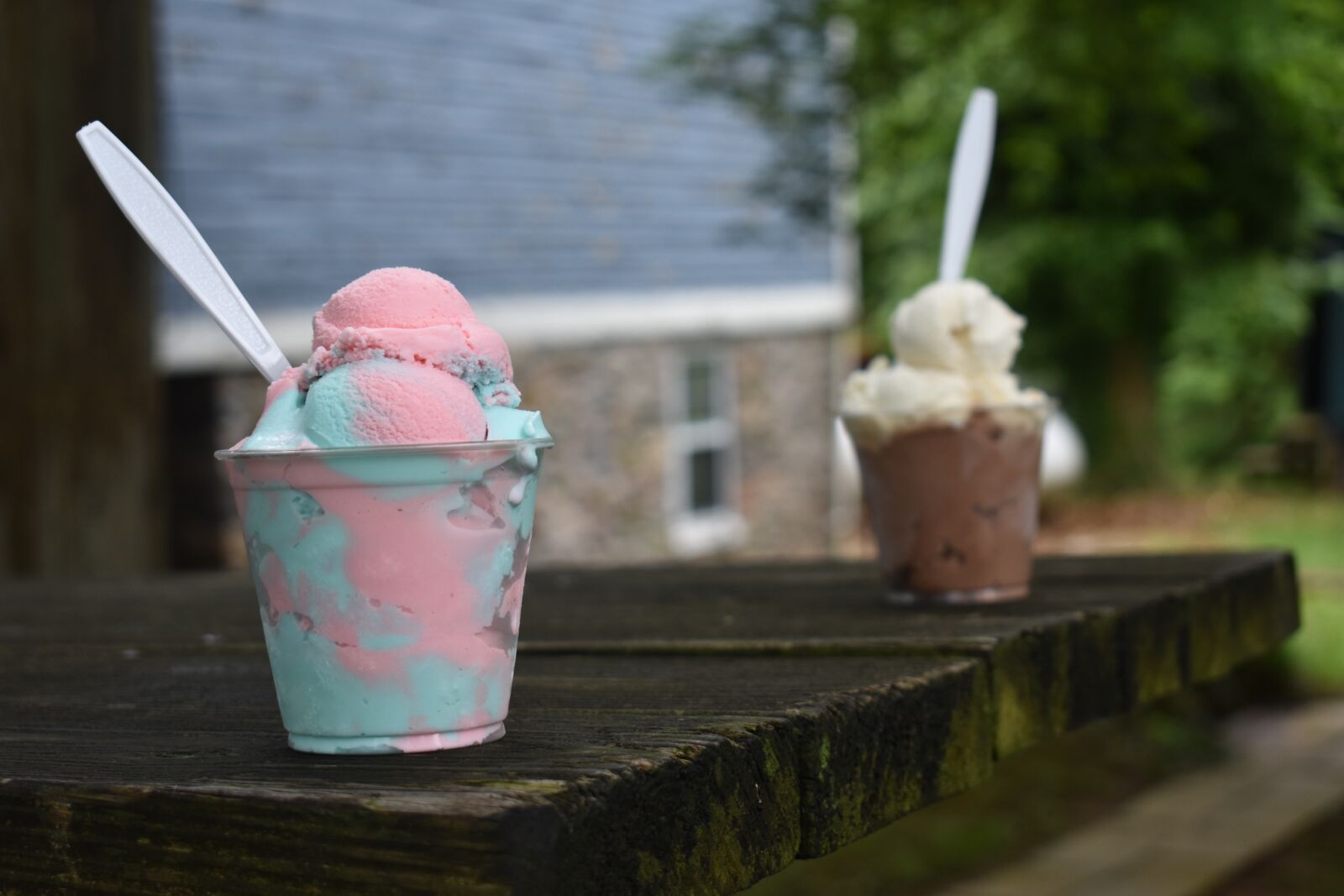 Nikon D3400 sample photo. Ice cream, general store photography
