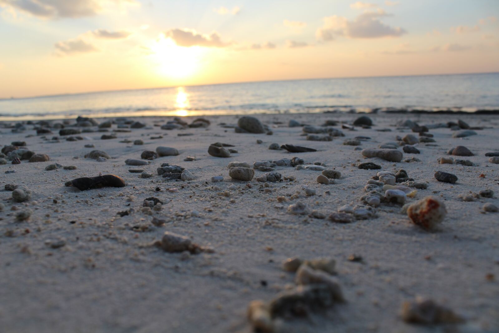 Canon EOS 600D (Rebel EOS T3i / EOS Kiss X5) sample photo. Sea, coast, beach photography