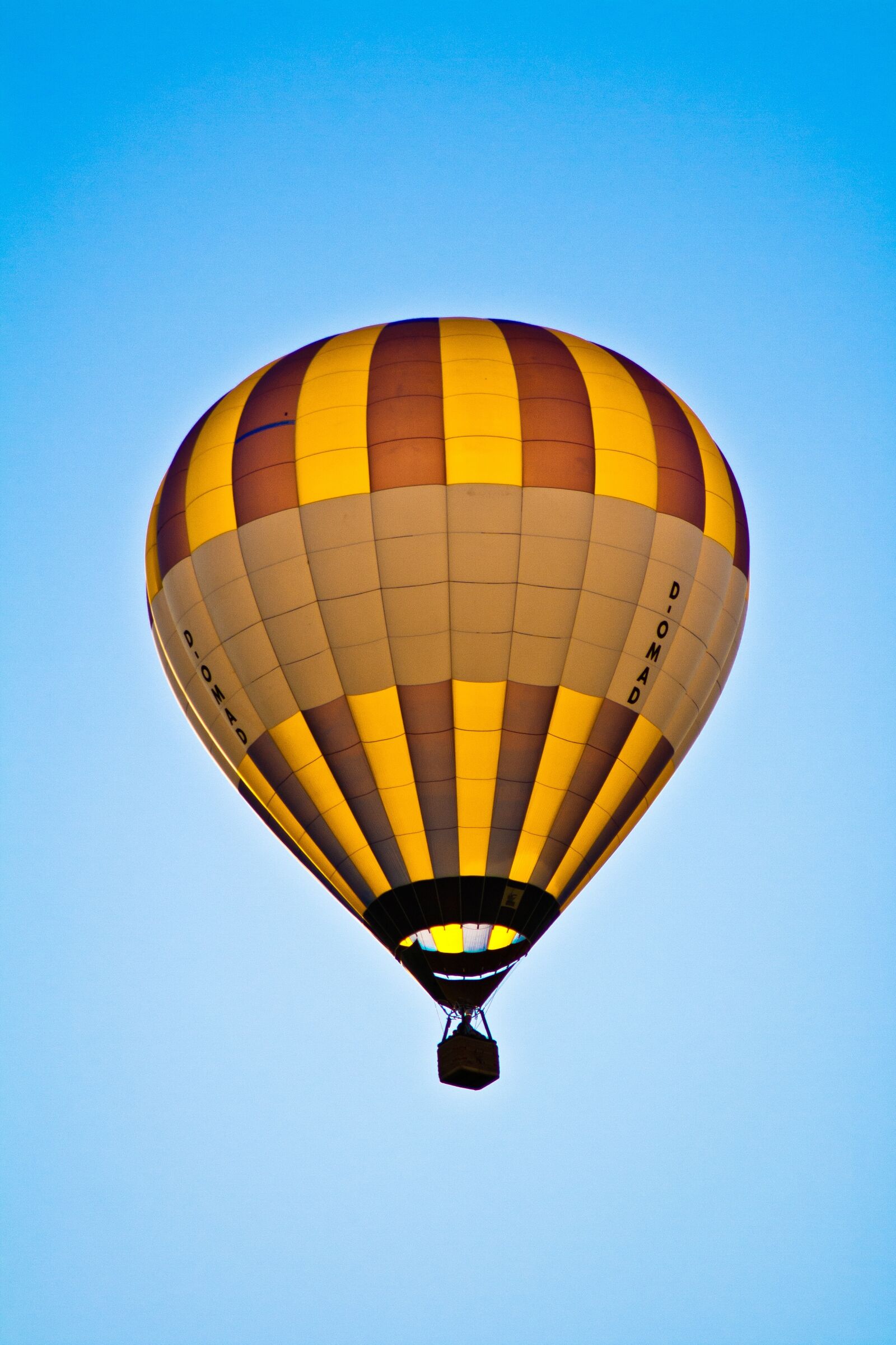 Canon EOS 1000D (EOS Digital Rebel XS / EOS Kiss F) sample photo. Balloon, hot air balloon photography
