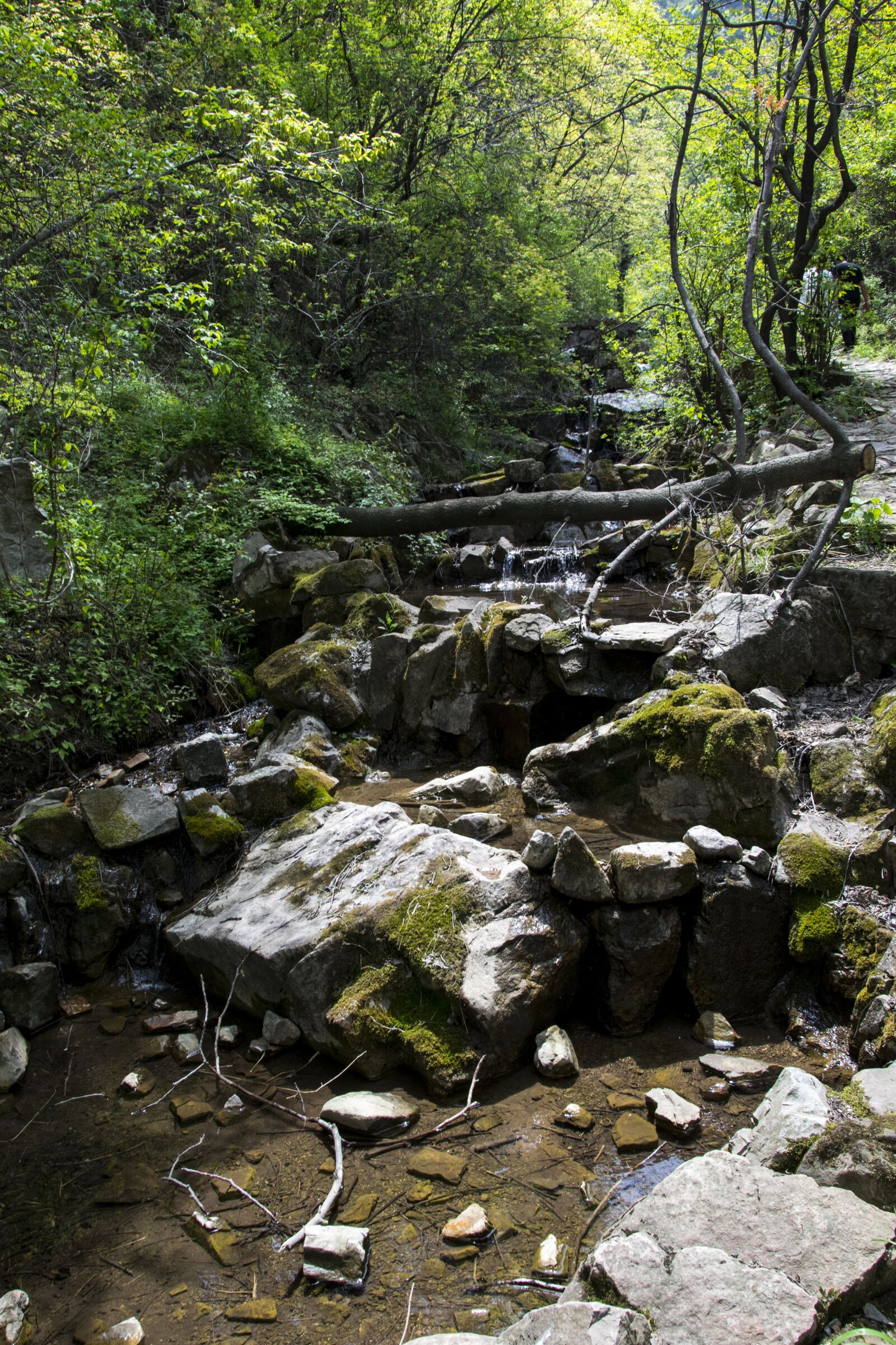 Nikon D5300 sample photo. Natural, mountains and rivers photography
