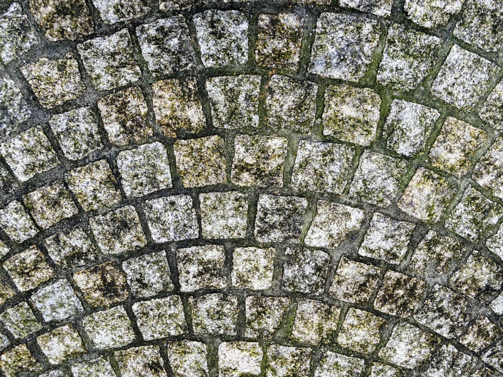 Sony Cyber-shot DSC-HX50V sample photo. Stones, paving stones, pavement photography