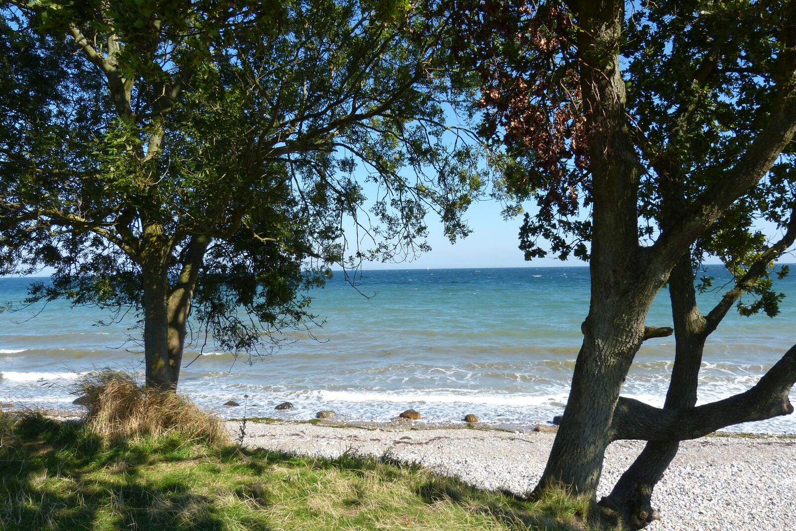 Panasonic Lumix DMC-FZ150 sample photo. Baltic sea, trees, stone photography