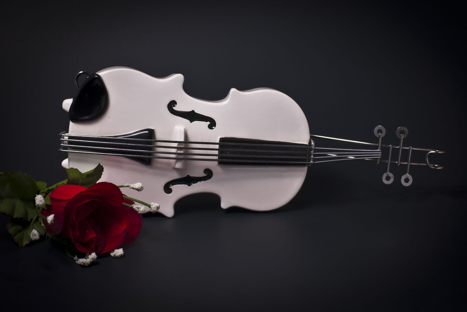 Nikon D200 sample photo. Violin, violon photography