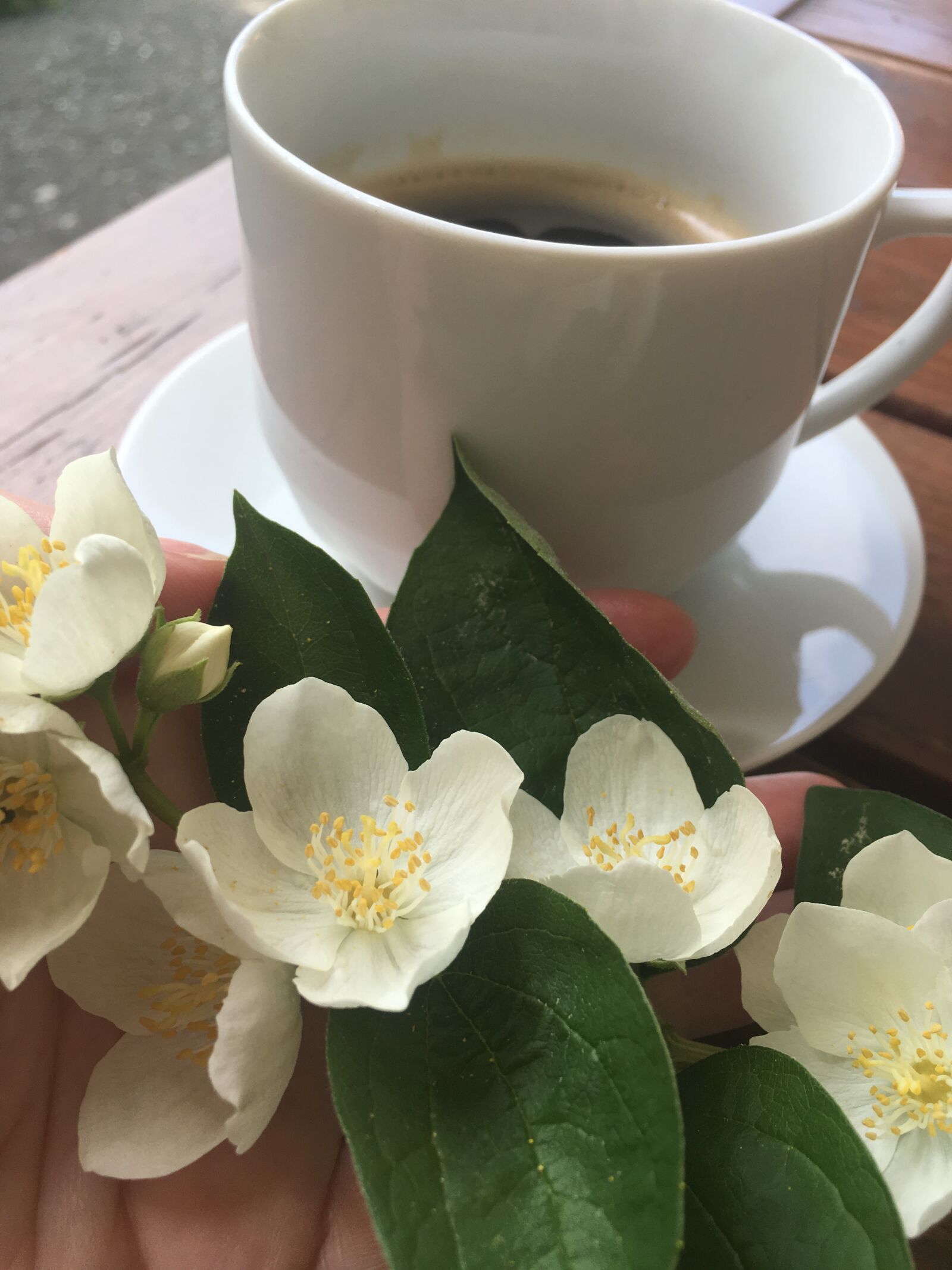 iPhone SE back camera 4.15mm f/2.2 sample photo. Jasmine, coffee, summer photography