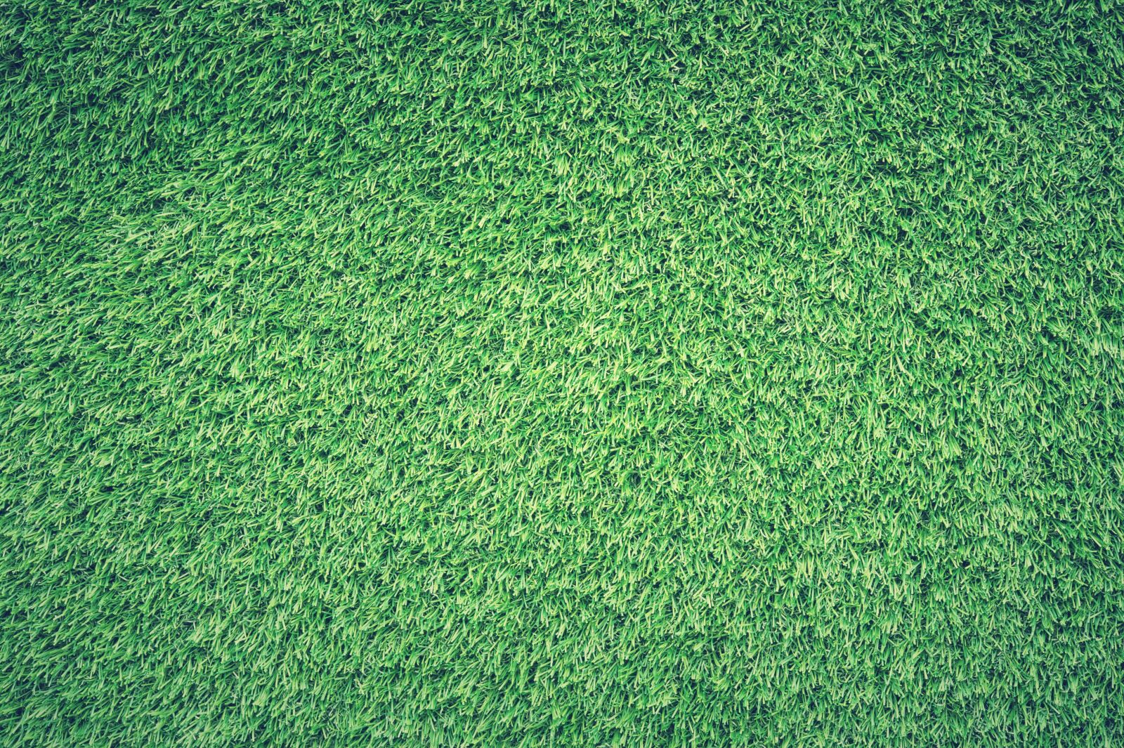 Nikon D700 sample photo. Field, grass, green photography