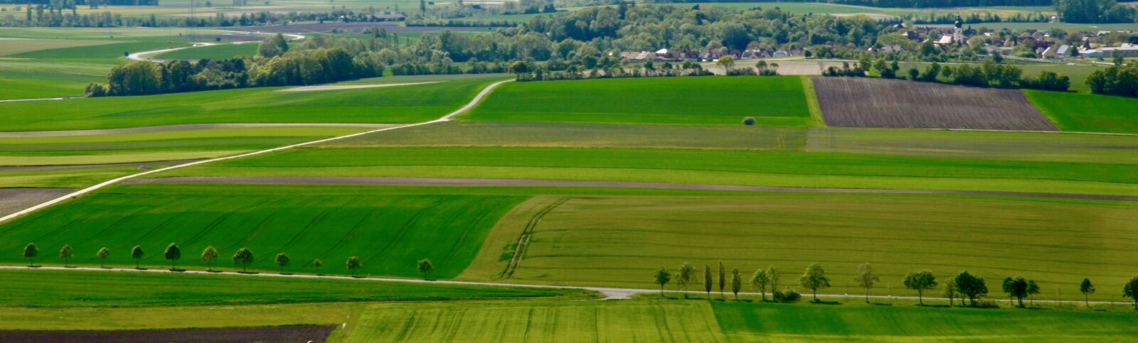 Nikon D5100 sample photo. Road, avenue, landscape photography
