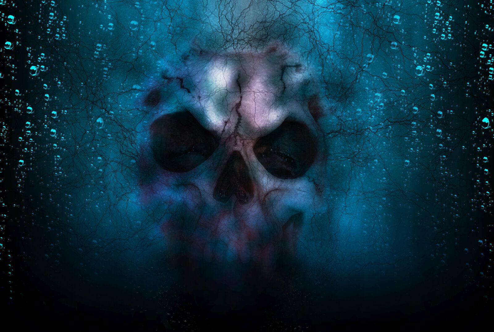 Samsung NX1000 sample photo. Skull, horror, halloween photography