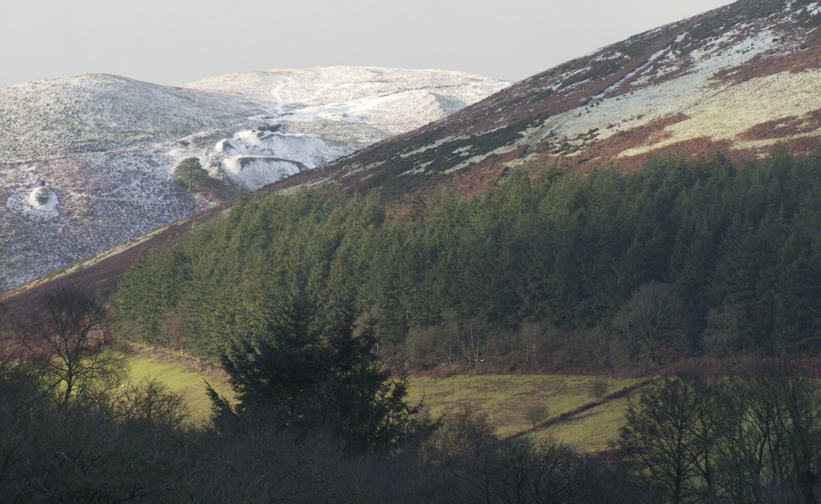 Fujifilm FinePix S100fs sample photo. Wales, uk, nature photography