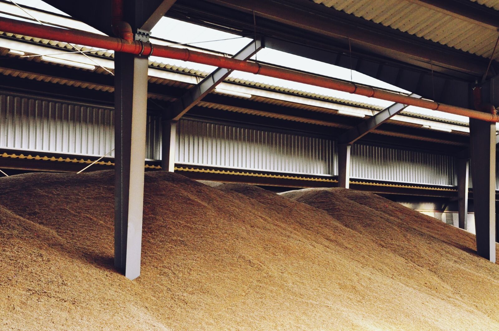 Nikon D90 sample photo. Corn, magazine, agriculture photography