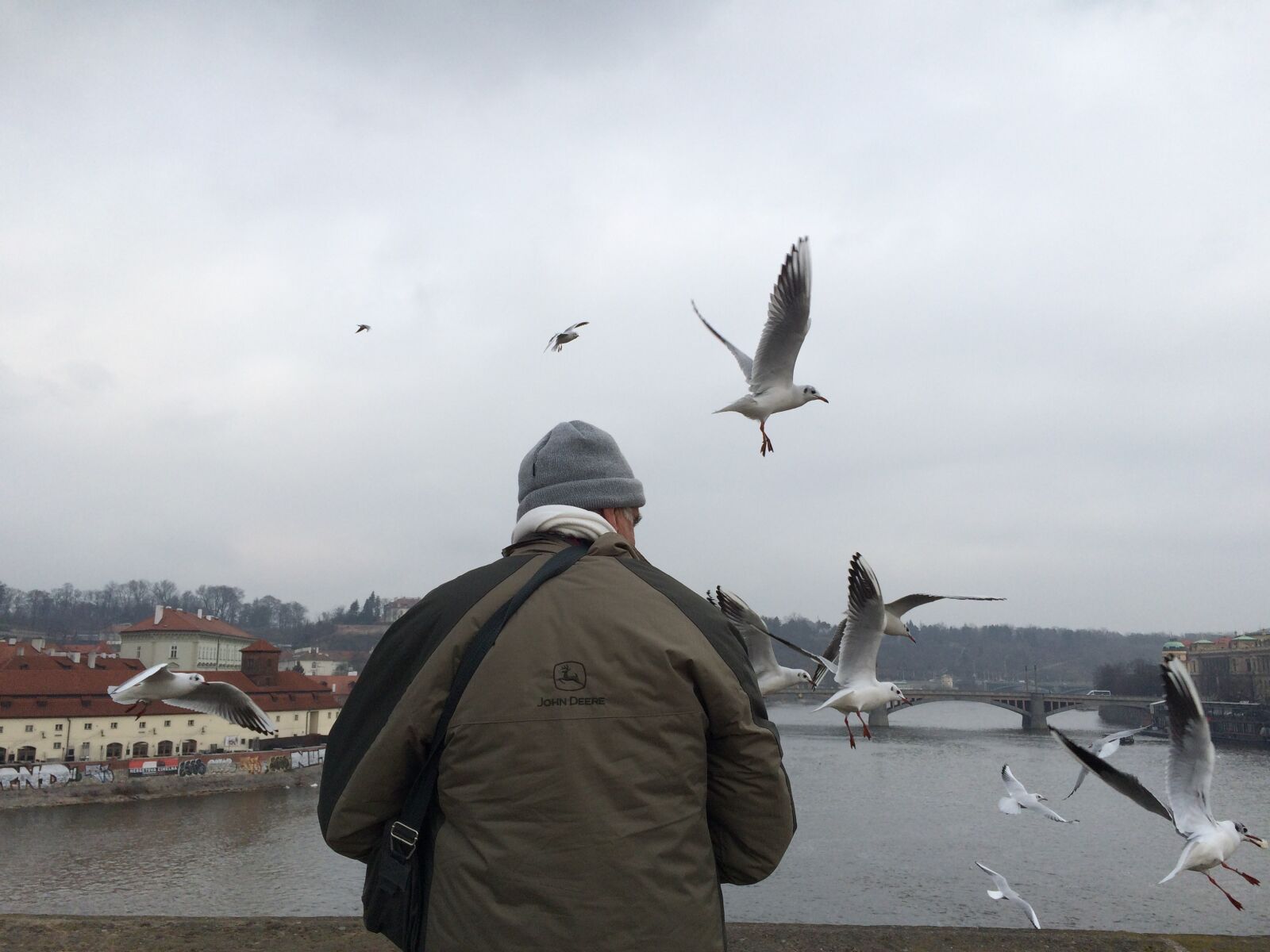 iPhone 5s back camera 4.15mm f/2.2 sample photo. Bird, uncle, man photography
