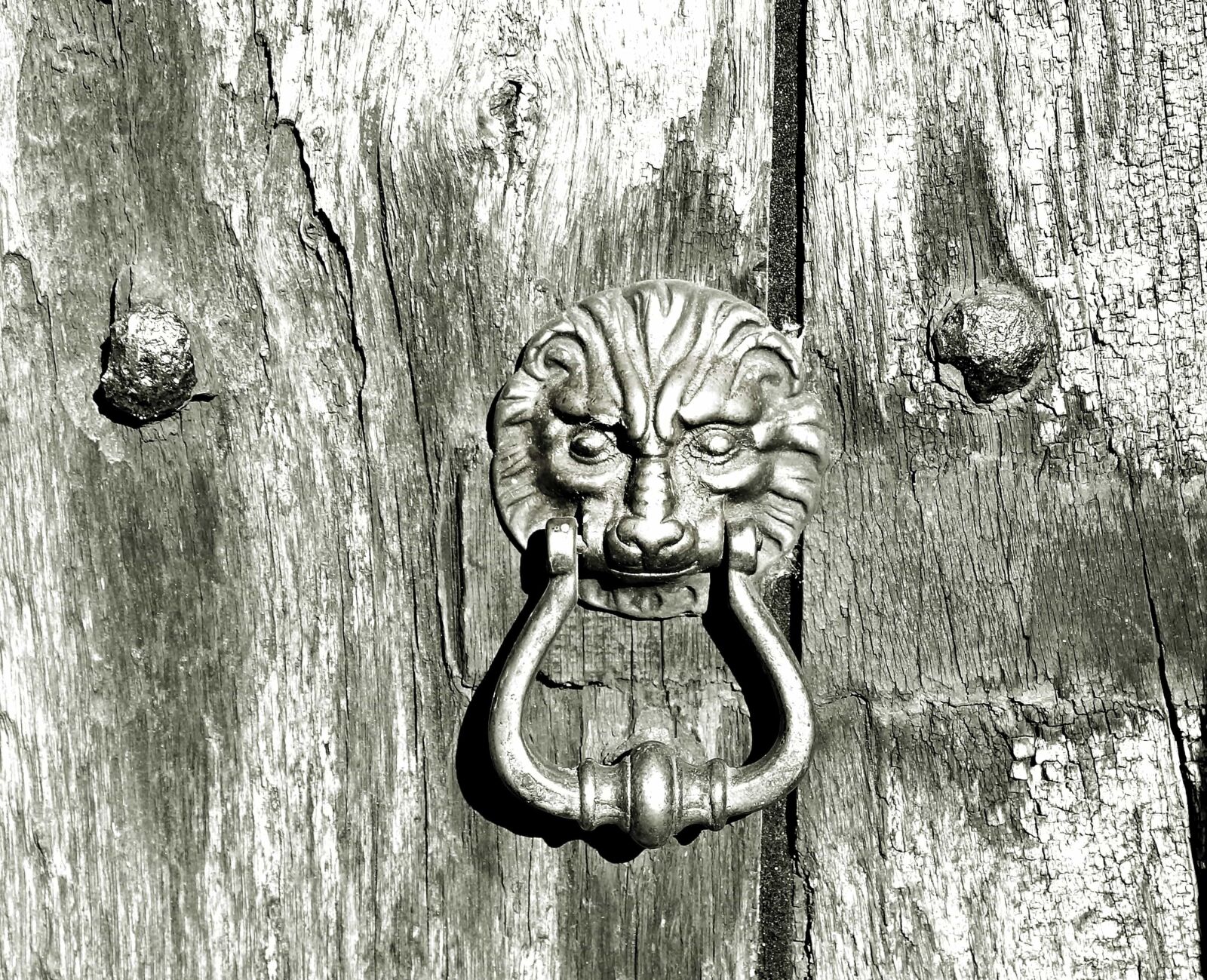 Canon EOS 550D (EOS Rebel T2i / EOS Kiss X4) sample photo. Front door, cast iron photography