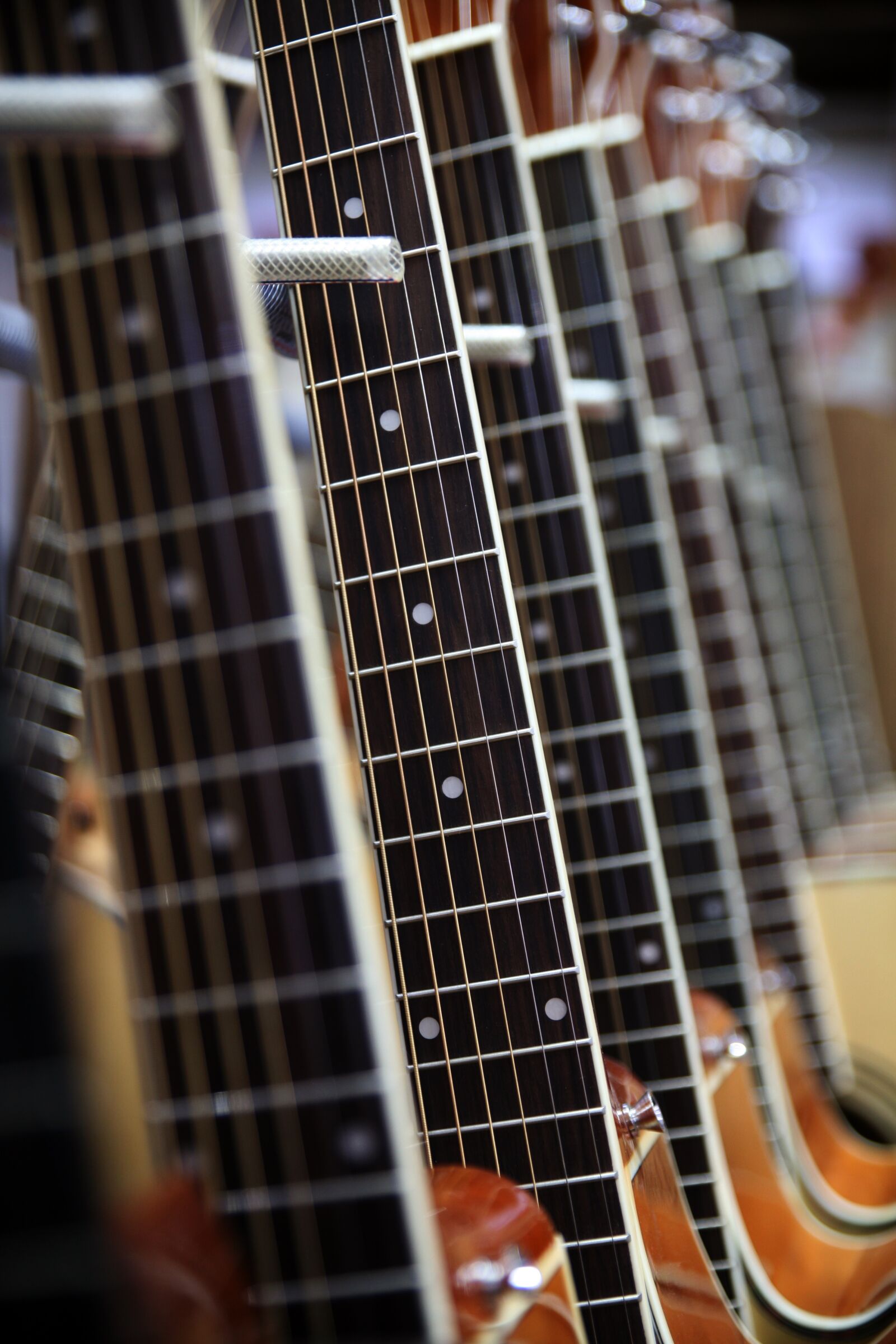 Canon EOS 5D sample photo. Music, etc, instrument photography