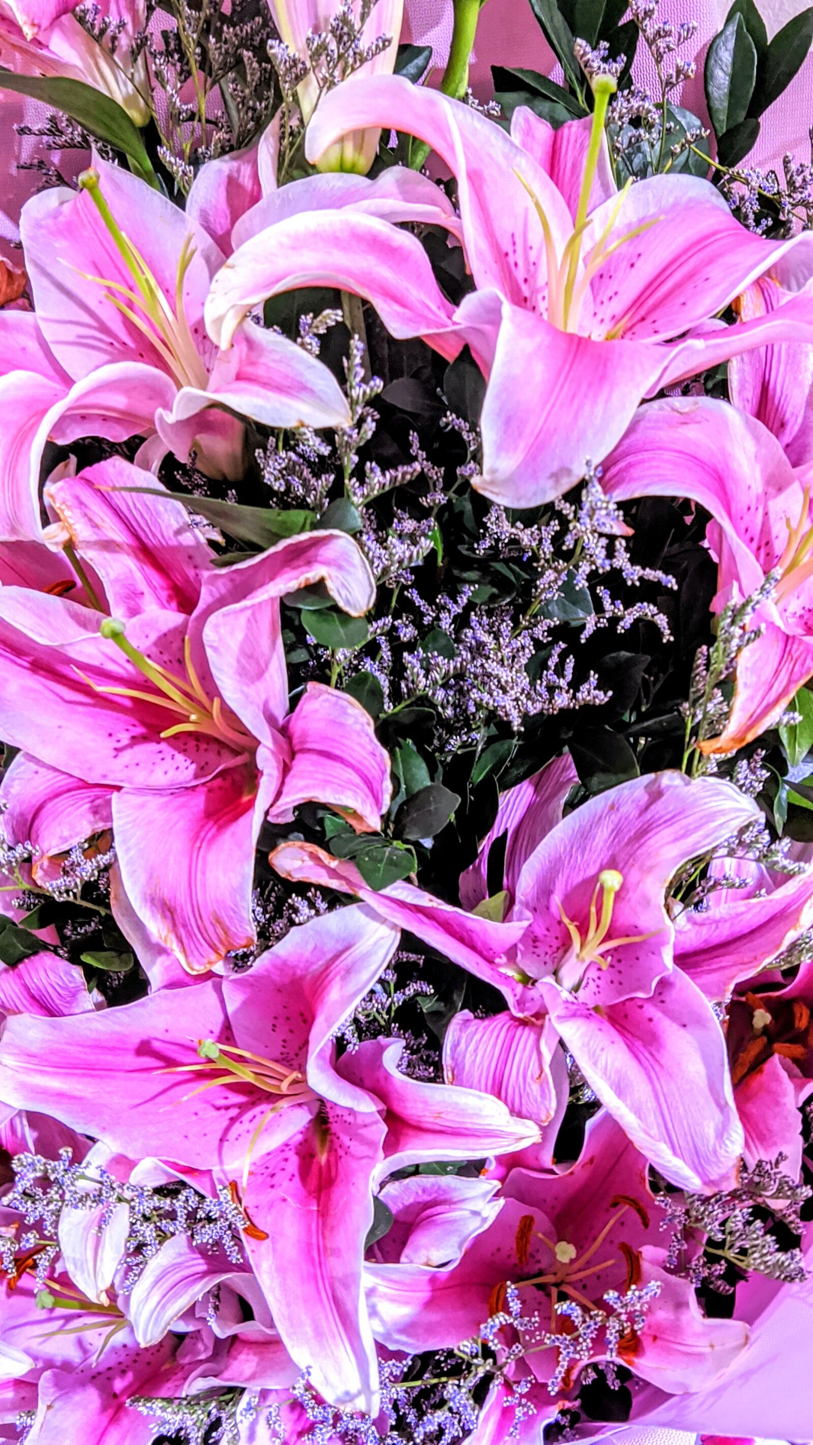 Xiaomi Mi A3 sample photo. Flower, wallpaper, beauty photography