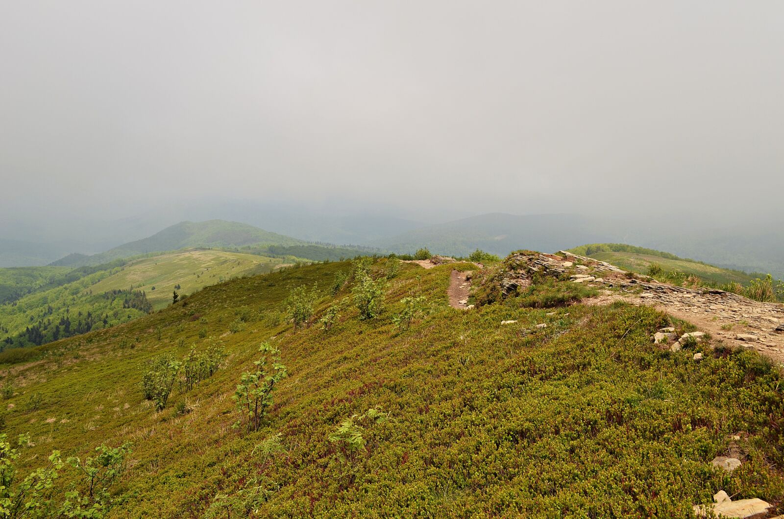 Nikon D5100 sample photo. Mountains, landscape, bieszczady photography