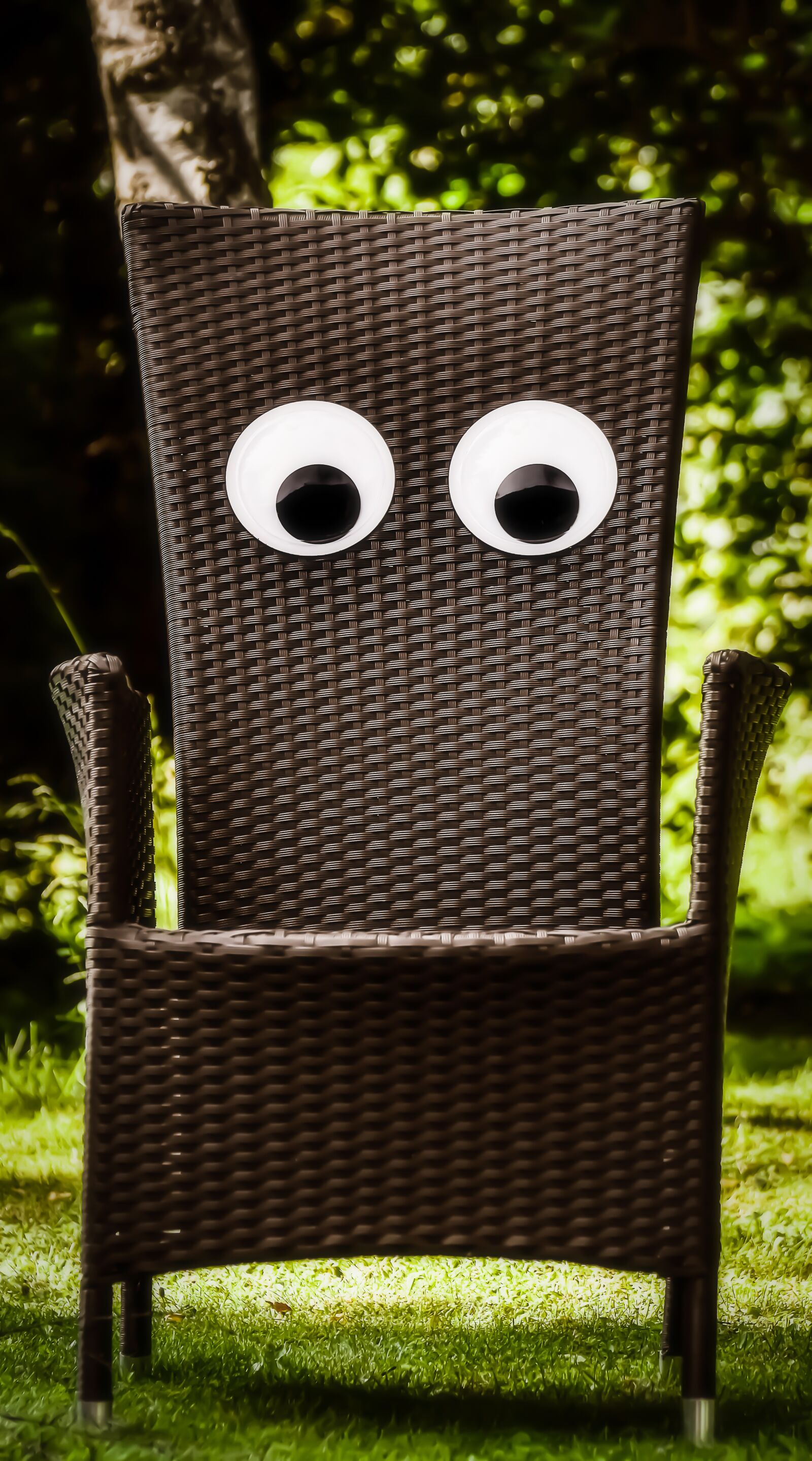 Nikon D7200 sample photo. Garden chair, eyes, funny photography