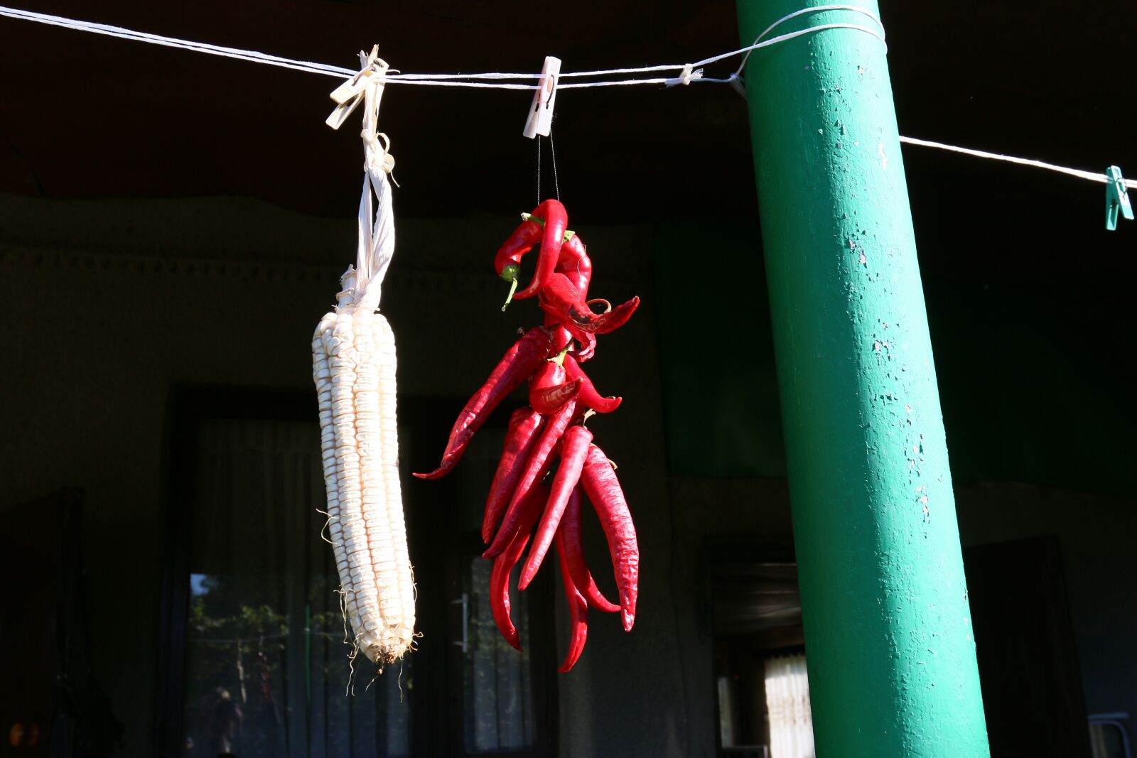 Canon EOS 70D + Canon EF 17-40mm F4L USM sample photo. Sharp, pepper, chile photography