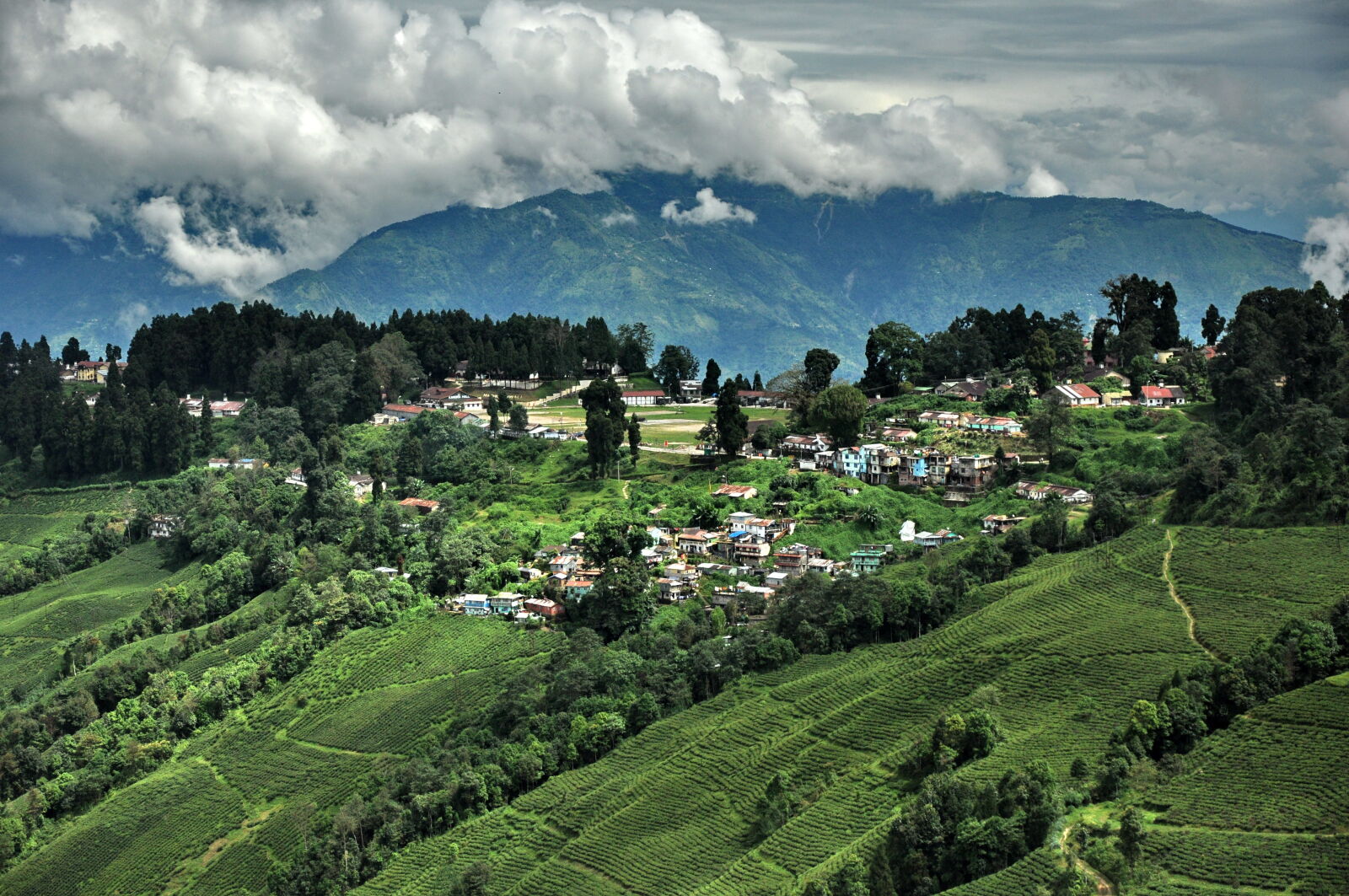 Nikon D90 sample photo. Lebong, darjeeling photography