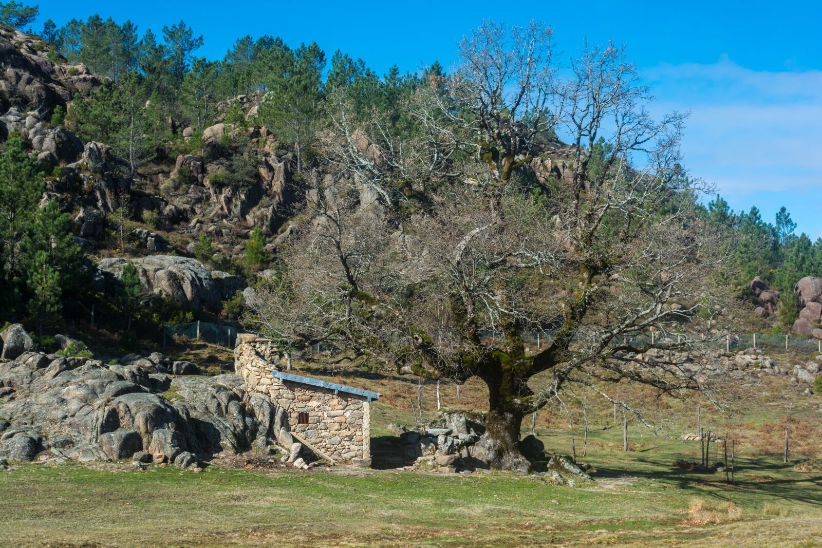 Nikon D7100 sample photo. Home, pasture, nature photography