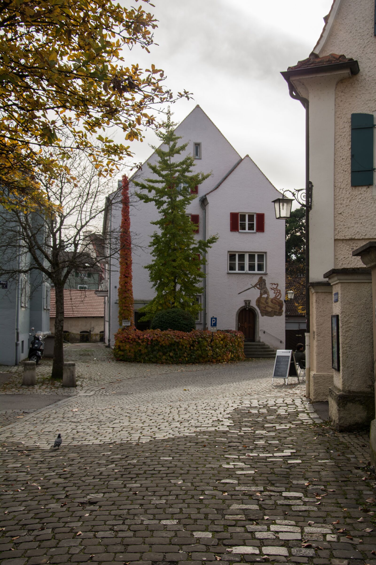 Nikon D7100 sample photo. Lindau, road, autumn photography