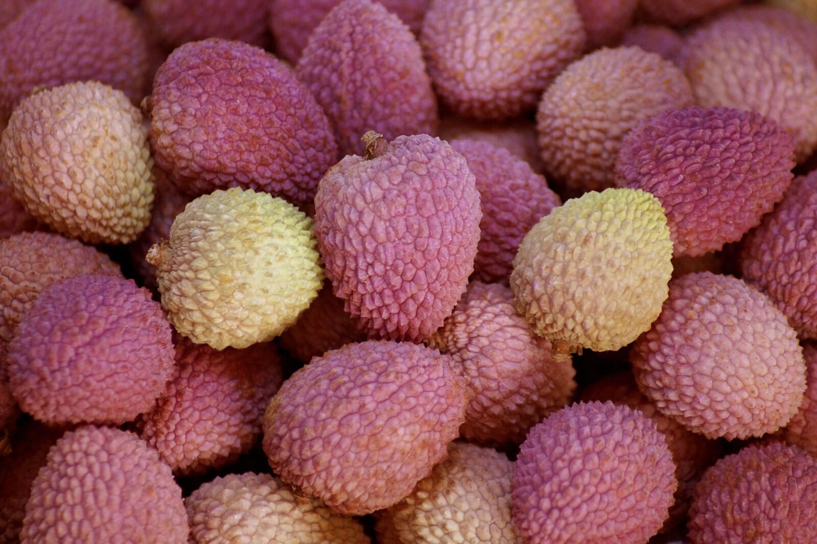 Sony SLT-A58 sample photo. Lychee, litchi, fruits photography
