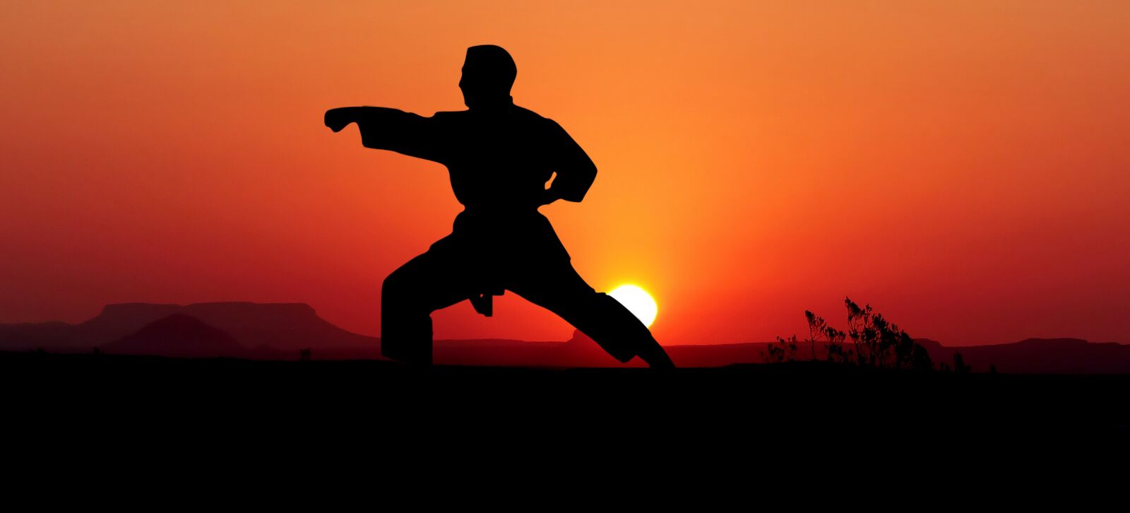 Panasonic Lumix DMC-FZ200 sample photo. Karate, kata, sport photography