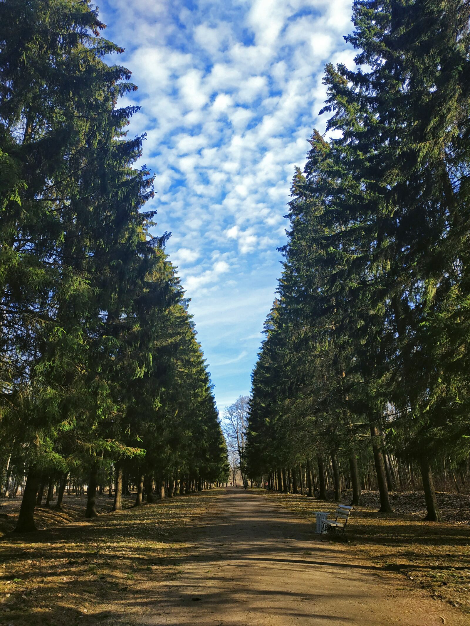 Xiaomi MI MAX 3 sample photo. Park, efi, alley photography