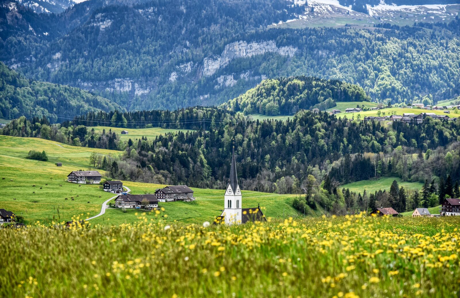 Nikon D750 sample photo. Bregenzerwald, summer meadow, church photography