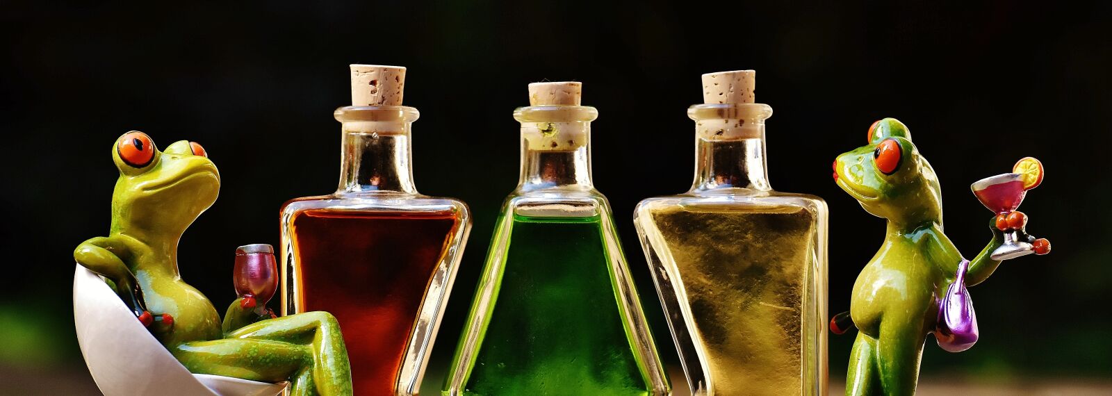 Nikon D7200 sample photo. Frogs, beverages, bottles photography