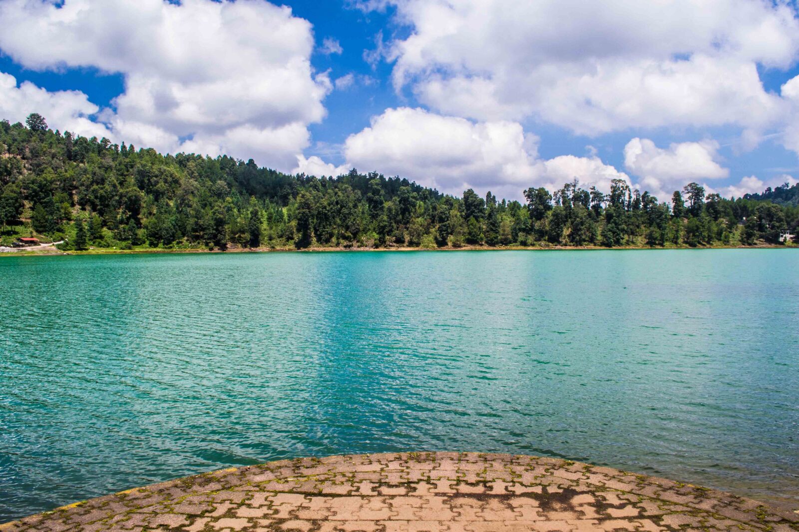 Nikon D3100 sample photo. Water, forest, blue sky photography