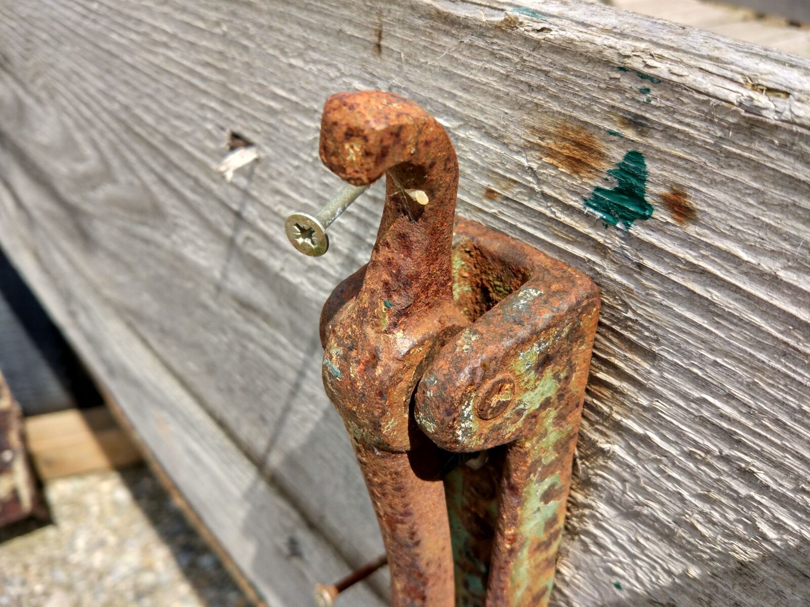 Xiaomi MI 5 sample photo. Rust, mount, tree photography