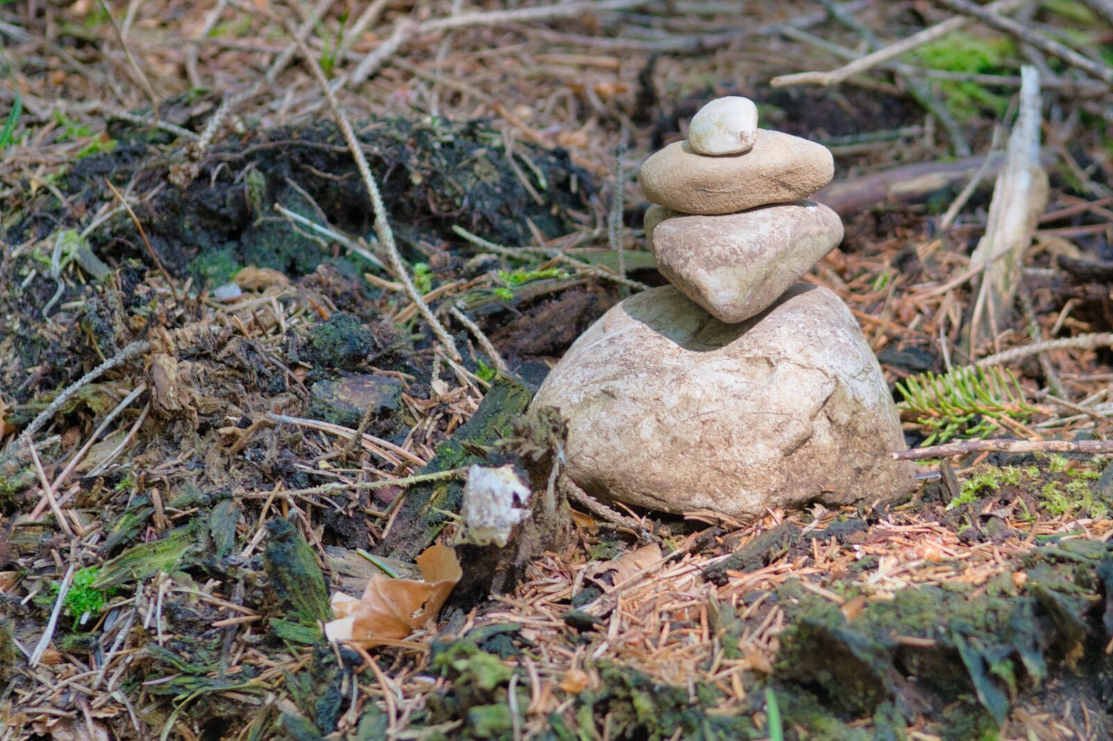 Nikon D7500 sample photo. Cairn, figure, stone photography