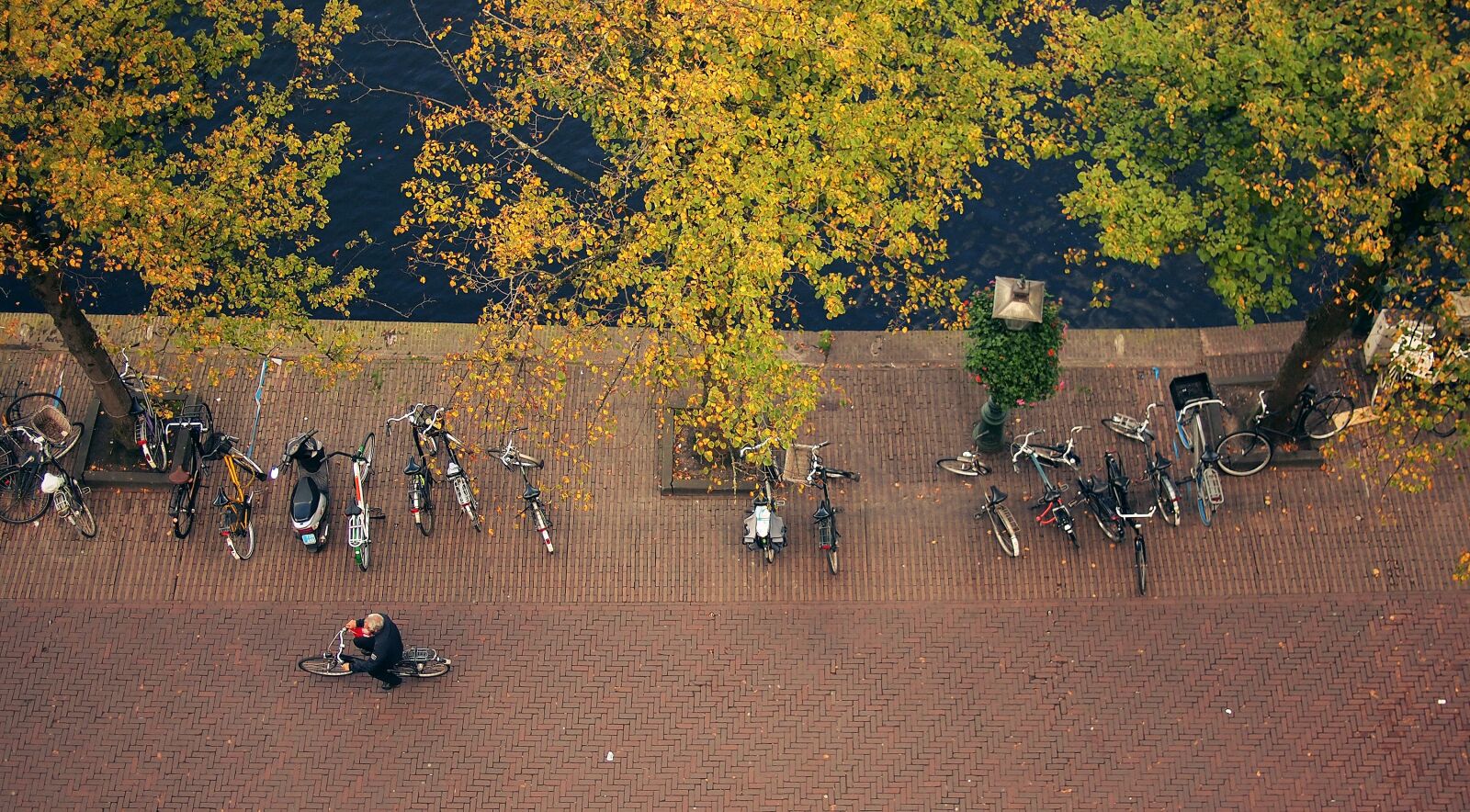 Olympus PEN E-PL1 sample photo. Bikes, bicycles, guy photography
