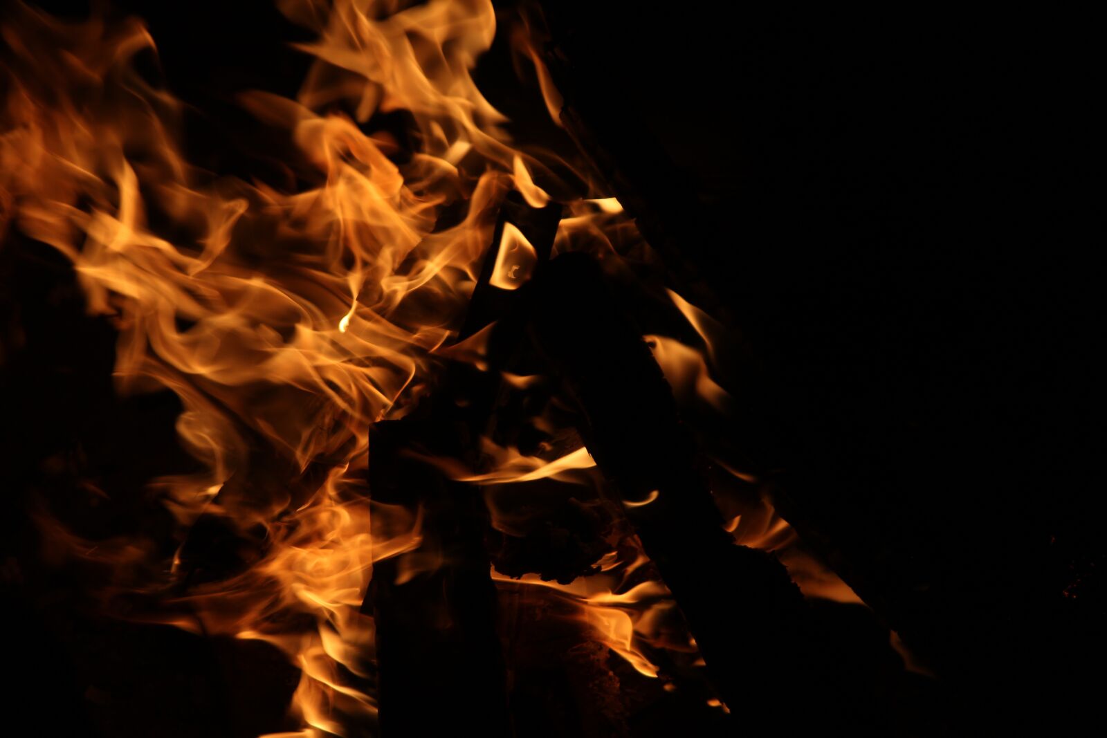Canon EOS 1200D (EOS Rebel T5 / EOS Kiss X70 / EOS Hi) sample photo. Flame, wood, lohri photography